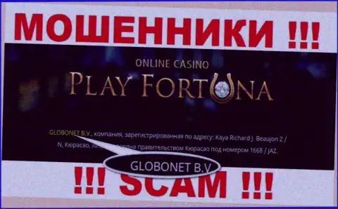 Информация о юридическом лице PlayFortuna Com, ими оказалась организация GLOBONET B.V.