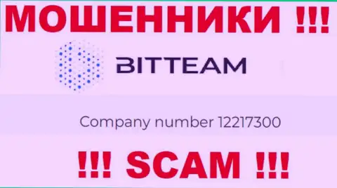 Регистрационный номер организации Bit Team - 12217300