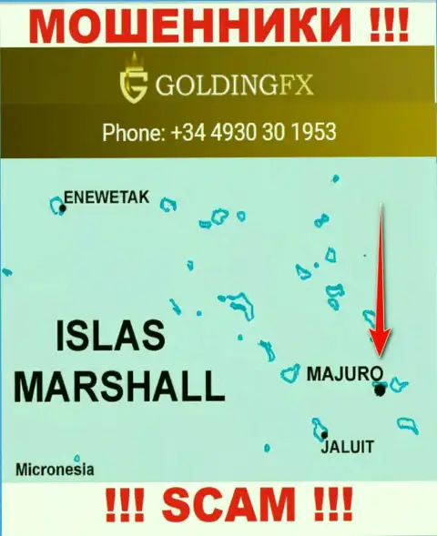С интернет-мошенником Golding FX лучше не совместно работать, они базируются в офшоре: Majuro, Marshall Islands