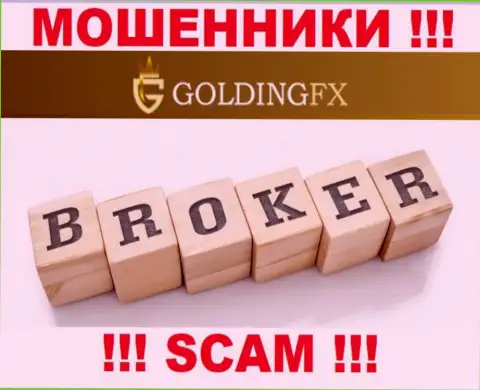 Broker - это то, чем занимаются интернет мошенники Golding FX
