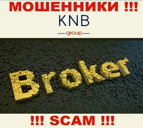 Сфера деятельности мошеннической организации KNB Group Limited - это Broker