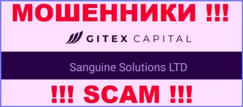 Юридическое лицо ГитексКапитал - Сангин Солютионс ЛТД, именно такую информацию показали мошенники у себя на сайте